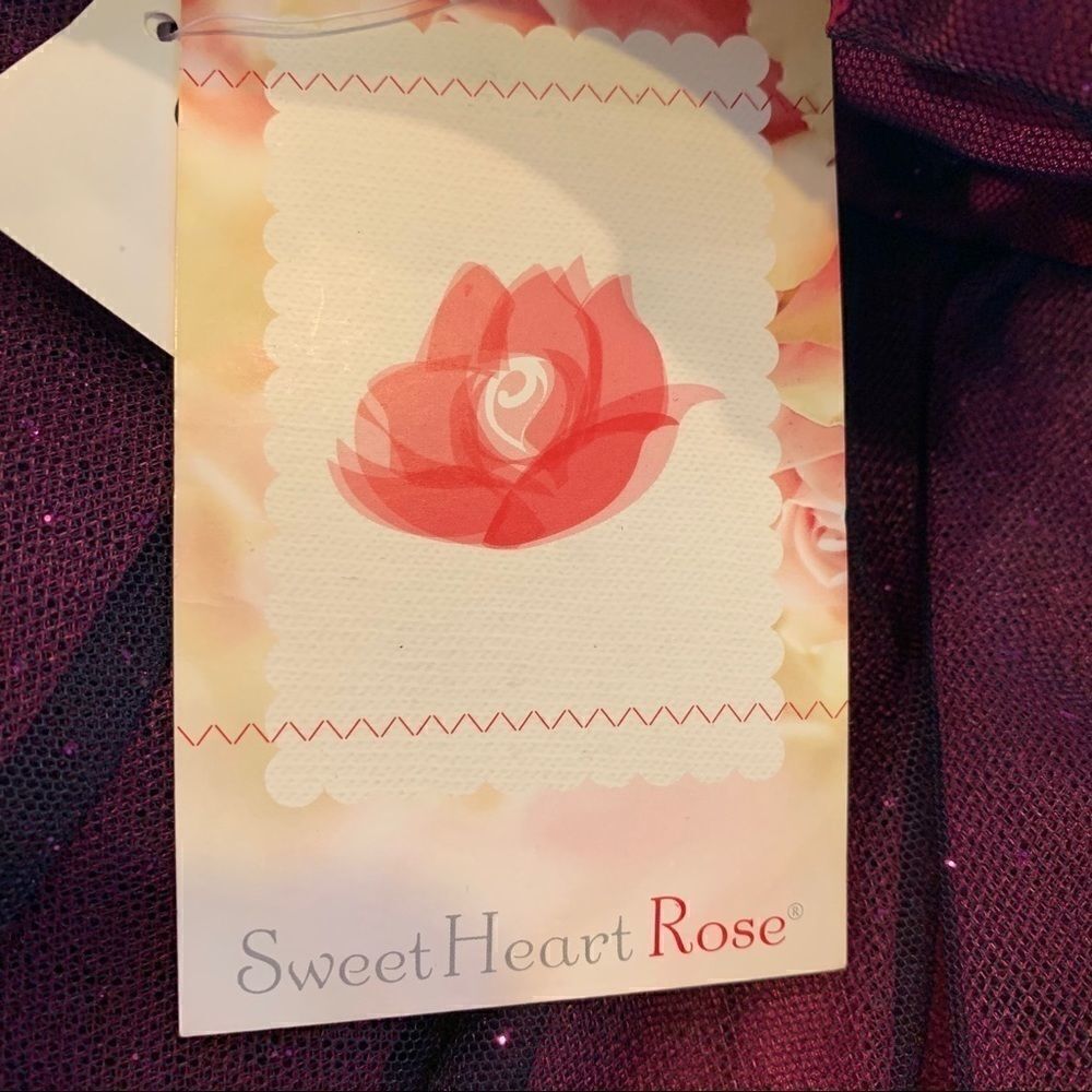 Sweet Heart Rose Girls Party Dress NWT - Picture 8 of 10